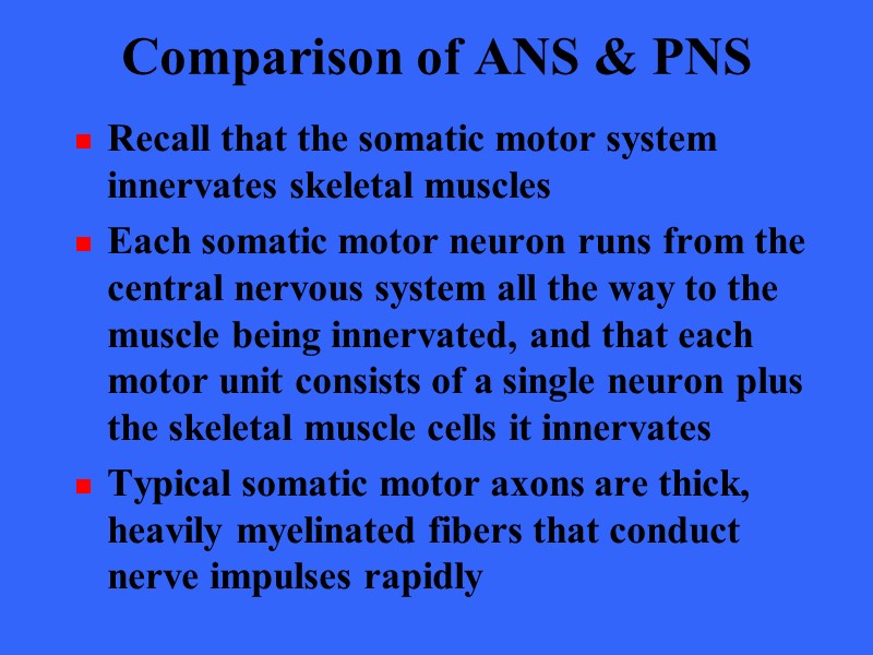 Comparison of ANS & PNS Recall that the somatic motor system innervates skeletal muscles